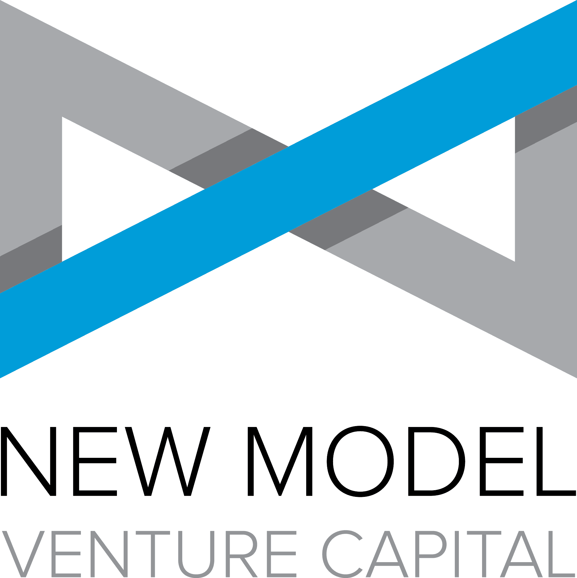New Model Logo Phase 8